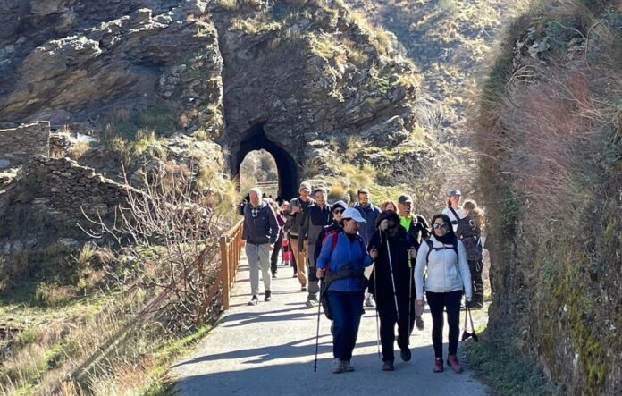  Aktivitäten von Vereinen in der Axarquía