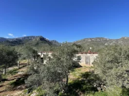 Geschichten einer Auswanderin - Auswandern nach Spanien