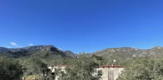 Geschichten einer Auswanderin - Auswandern nach Spanien