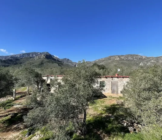 Geschichten einer Auswanderin - Auswandern nach Spanien