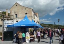 Tag des Zuckerrohrs in Frigiliana