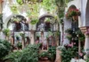 Patio Festival Córdoba: Die schönsten Innenhöfe entdecken