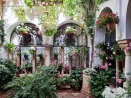 Patio Festival Córdoba: Die schönsten Innenhöfe entdecken