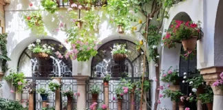 Patio Festival Córdoba: Die schönsten Innenhöfe entdecken
