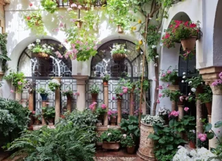 Patio Festival Córdoba: Die schönsten Innenhöfe entdecken