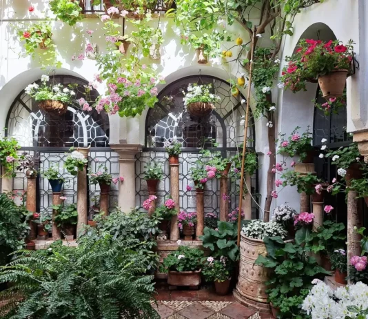 Patio Festival Córdoba: Die schönsten Innenhöfe entdecken
