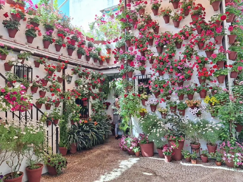 Patio Festival Córdoba: Die schönsten Innenhöfe entdecken