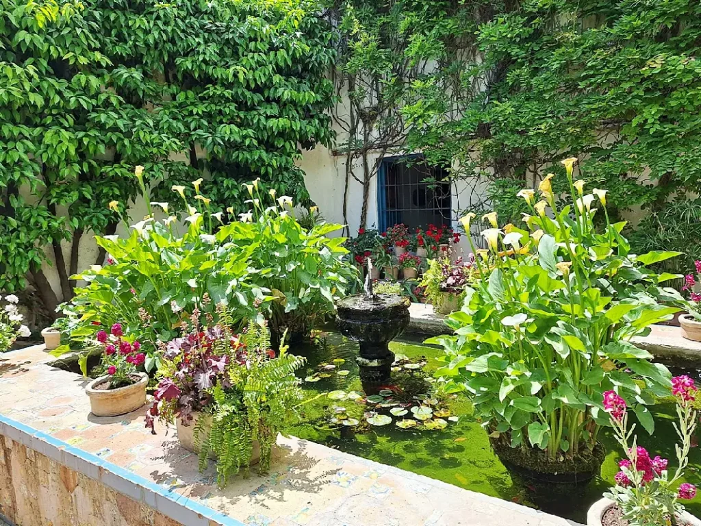 Patio Festival Córdoba: Die schönsten Innenhöfe entdecken