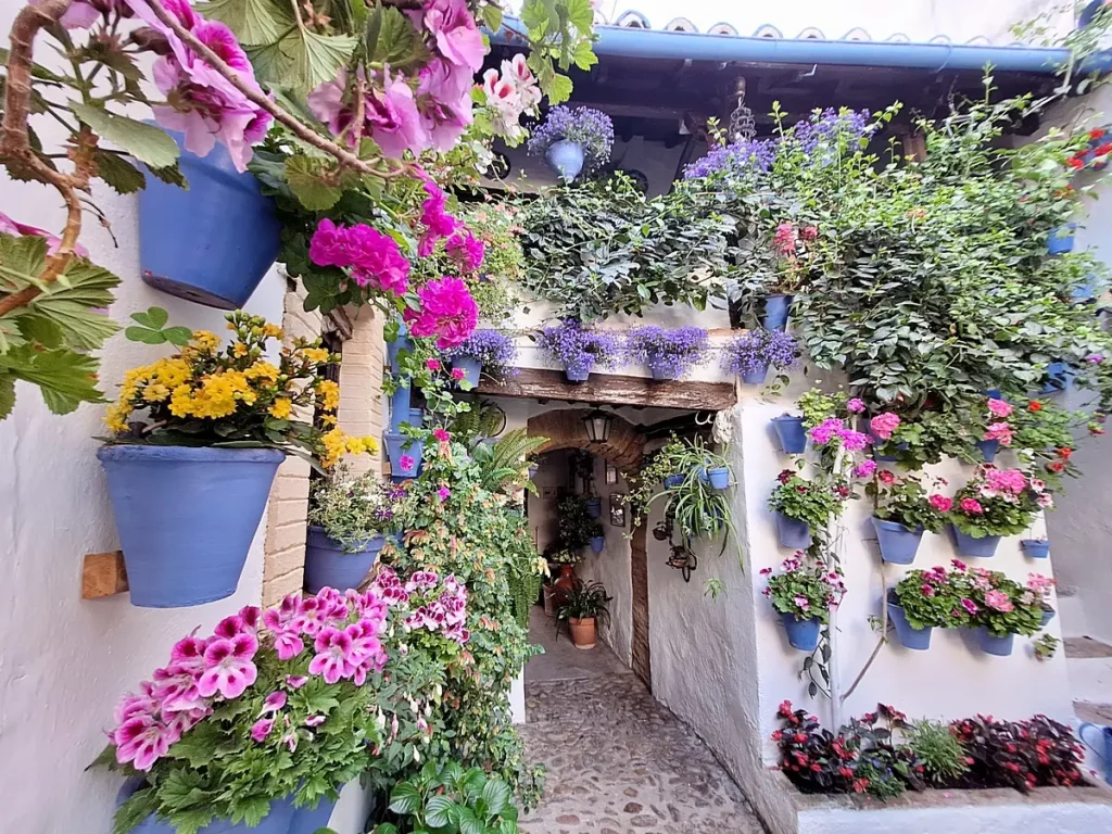Patio Festival Córdoba: Die schönsten Innenhöfe entdecken