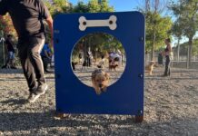 Hundepark Torremolinos