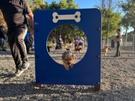 Hundepark Torremolinos