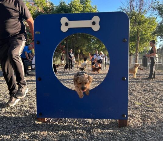 Hundepark Torremolinos
