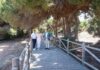 Küstenpfad Marbella erneuert