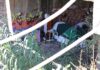 Torrox Migranten