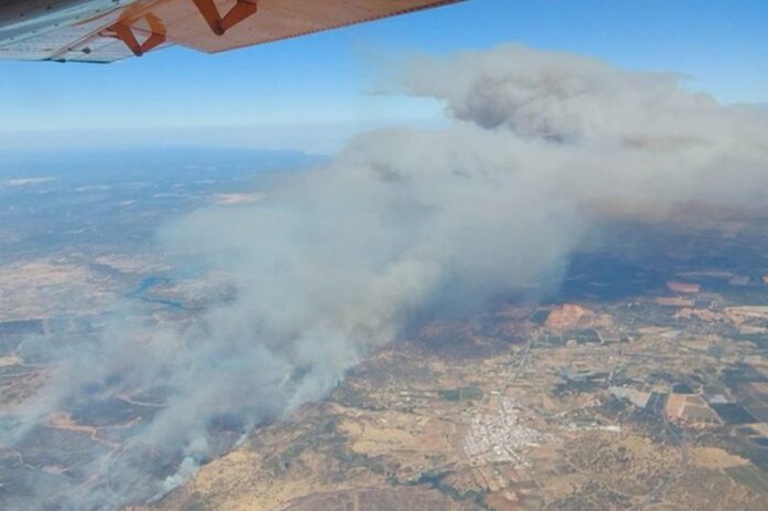 Waldbrand in Huelva