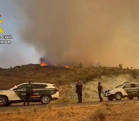 Almería Waldbrand 2026