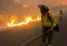 Waldbrand in Almería
