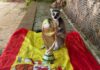 Orakel Spanien Weltmeister 2026
