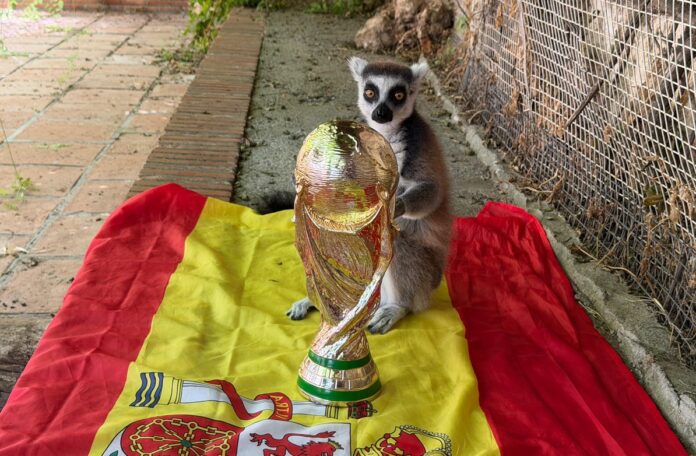 Orakel Spanien Weltmeister 2026