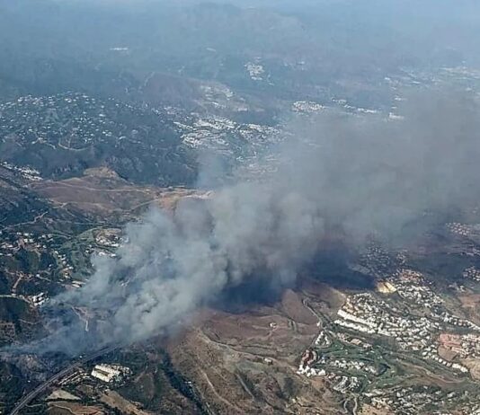 Waldbrand Benahavís
