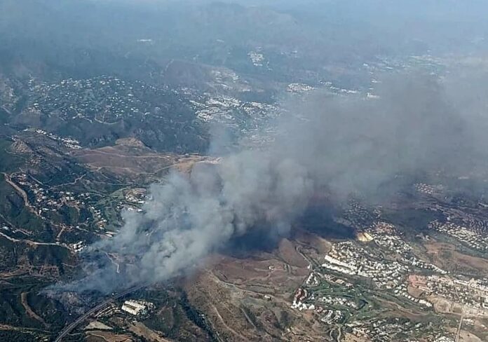 Waldbrand Benahavís
