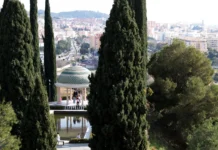 Botanischer Garten Málaga im Sommer