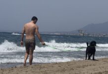 Marbella Hundestrand