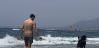 Marbella Hundestrand