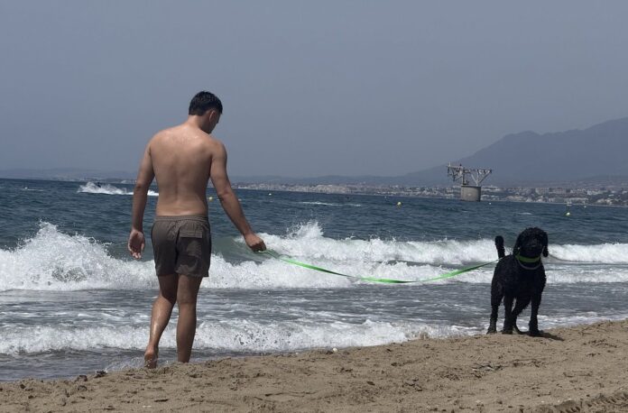 Marbella Hundestrand