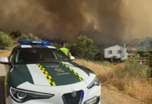 Waldbrand in Madrid: Rund 100.000 Menschen betroffen