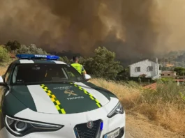 Waldbrand in Madrid: Rund 100.000 Menschen betroffen