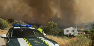 Waldbrand in Madrid: Rund 100.000 Menschen betroffen