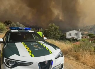 Waldbrand in Madrid: Rund 100.000 Menschen betroffen