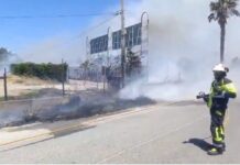 Brand Estepona