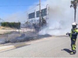 Brand Estepona