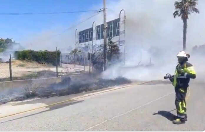 Brand Estepona
