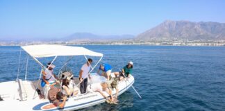 Karettschildkröten in Marbella