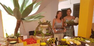 Bioprodukte in der Axarquía