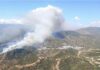 Waldbrand Benahavís