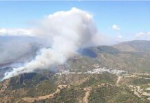 Waldbrand Benahavís