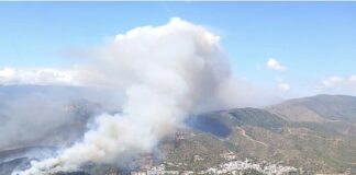 Waldbrand Benahavís