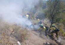 Waldbrand Igualeja