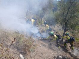 Waldbrand Igualeja