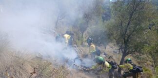 Waldbrand Igualeja